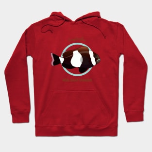 Wide Banded Clownfish Hoodie